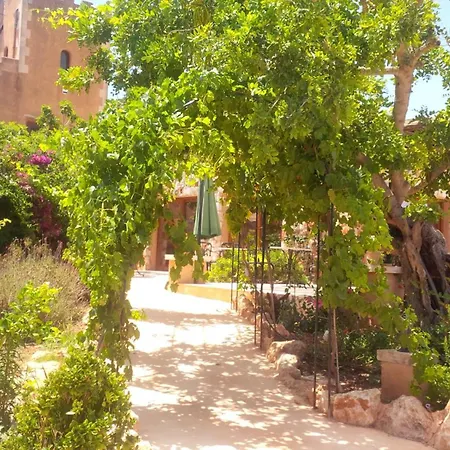 Farm stay Son Marimon (adults Only)