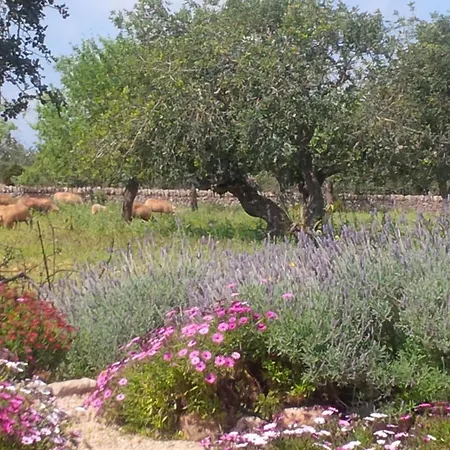 Son Marimon (adults Only) Santanyi
