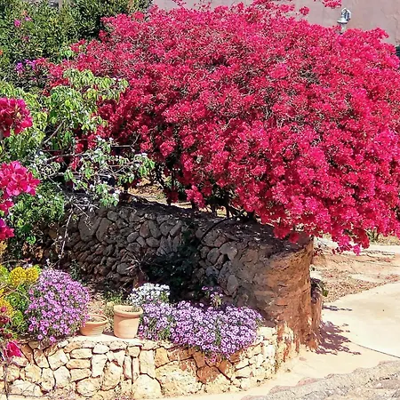 Farm stay Son Marimon (adults Only)