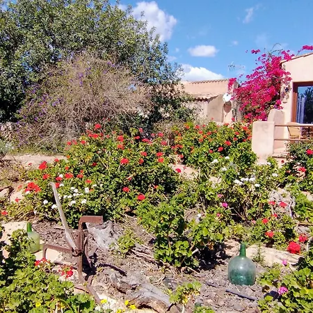 Son Marimon (adults Only) Farm stay *