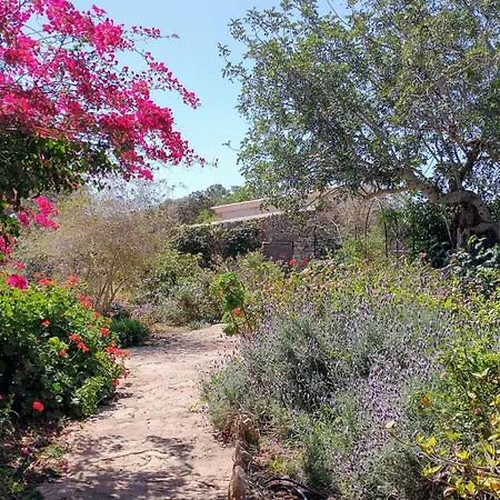 Farm stay Son Marimon (adults Only)