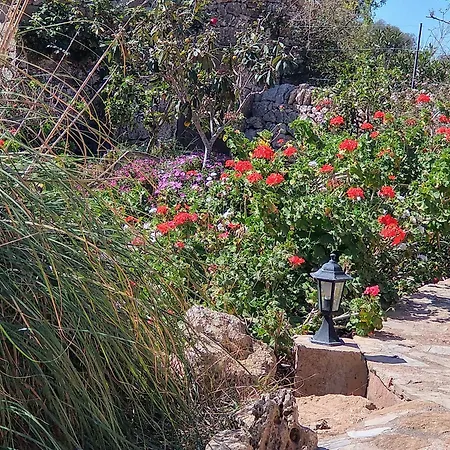Son Marimon (adults Only) Farm stay