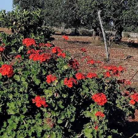 Farmház Son Marimon (adults Only)