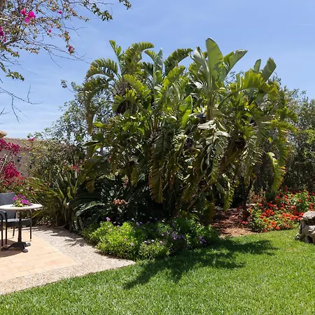 Farm stay Son Marimon (adults Only) Santanyi