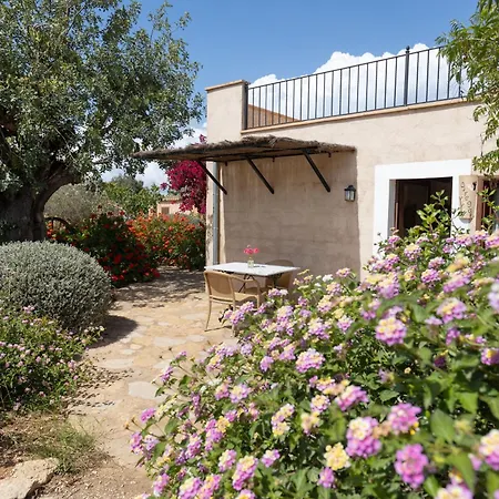 Son Marimon (adults Only) Santanyi